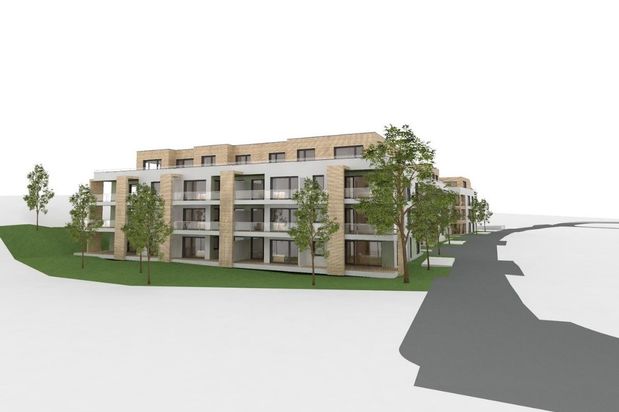 Gaenseweide